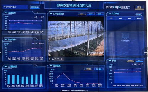 美味农产品触手可及 优质瓜果的种植与网络销售新路径