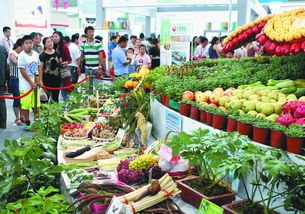 党建引领数字赋能 安徽省委组织部文明网助力农产品销售开新篇