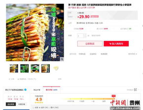贵州雷山电商扶贫 八月笋线上热销，网上销售农产品蹚出致富新路