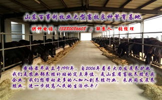 新疆哈密三粉驴养殖厂 扎根戈壁，香飘四海