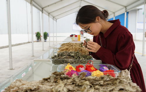 农地云拼 拼多多助力农产品上行的破局之道