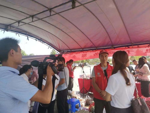 社员网助力洋县消费扶贫 单日农产品销售额突破6万元