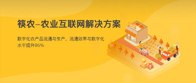 筷农 农业互联网解决方案，助力农业数字化与农产品网上销售