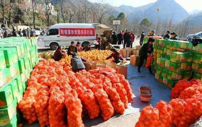 农产品接触网络，电商成为农村致富之路？农户 此事并不简单！