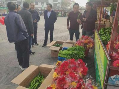 定远县吴圩镇 夯实脱贫基础，打通网销渠道，全面对接乡村振兴