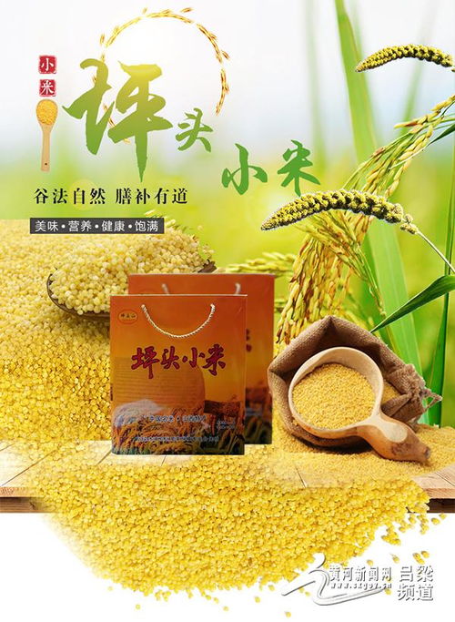 离石区特色农产品线上销售火爆，电商赋能乡村振兴新路径